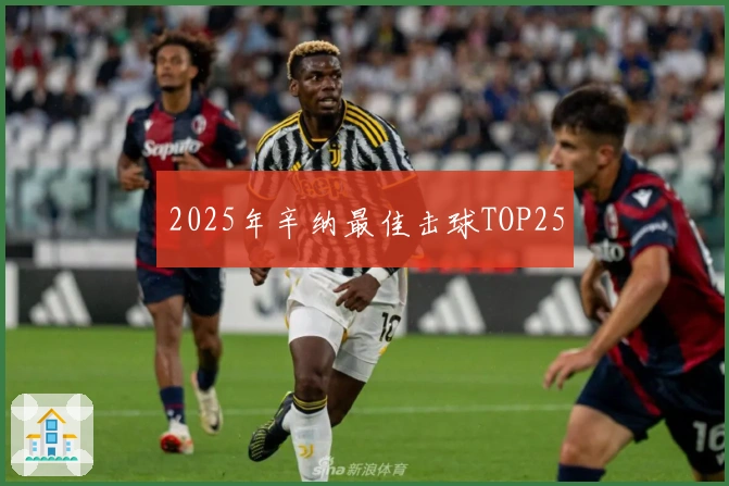 2025年辛纳最佳击球TOP25