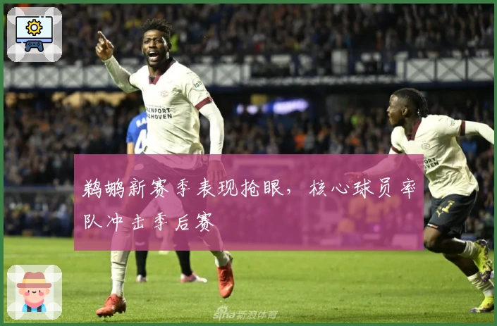 鹈鹕新赛季表现抢眼,核心球员率队冲击季后赛